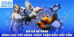 Đá gà 88 RR88 ảnh đại diện