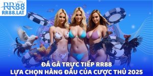 Đá gà trực tiếp RR88 ảnh đại diện