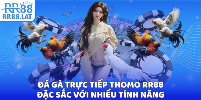 Đá gà trực tiếp Thomo RR88 đặc sắc với nhiều tính năng