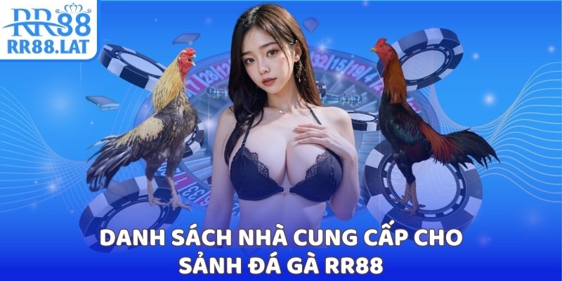 Danh sách nhà cung cấp cho sảnh đá gà RR88