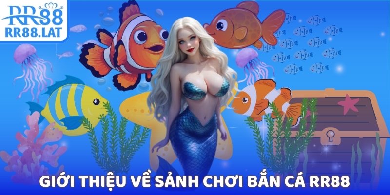 Giới thiệu về sảnh chơi bắn cá RR88
