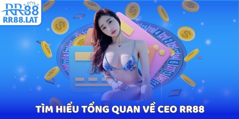 Tìm hiểu tổng quan về CEO Huỳnh Thị Cẩm Tú