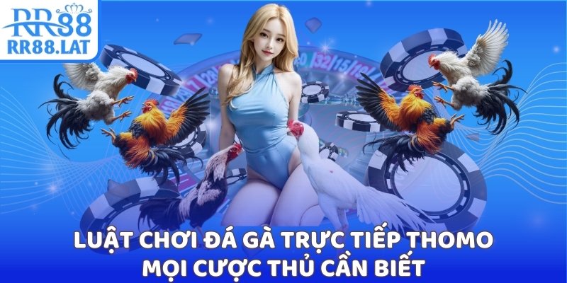Luật chơi đá gà trực tiếp Thomo mọi cược thủ cần biết