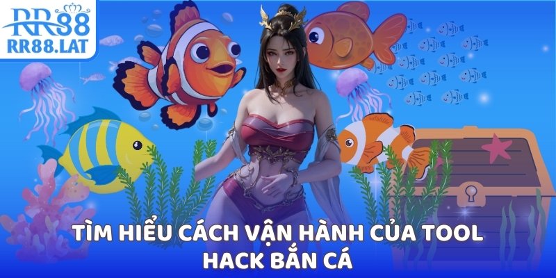 Tìm hiểu cách vận hành của tool hack bắn cá