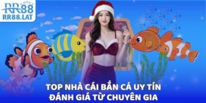 Top nhà cái bắn cá uy tín ảnh đại diện